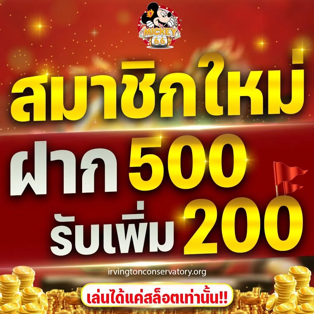 ทางเข้า Mickey66